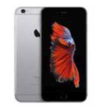 iPhone 6 Plus